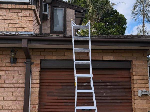 Pest control ladder set up at a Sydney garage roofline for a termite and roof void inspection